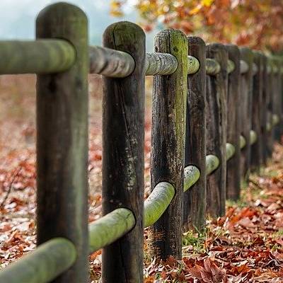 Animi ut et quo labore est ut quos.